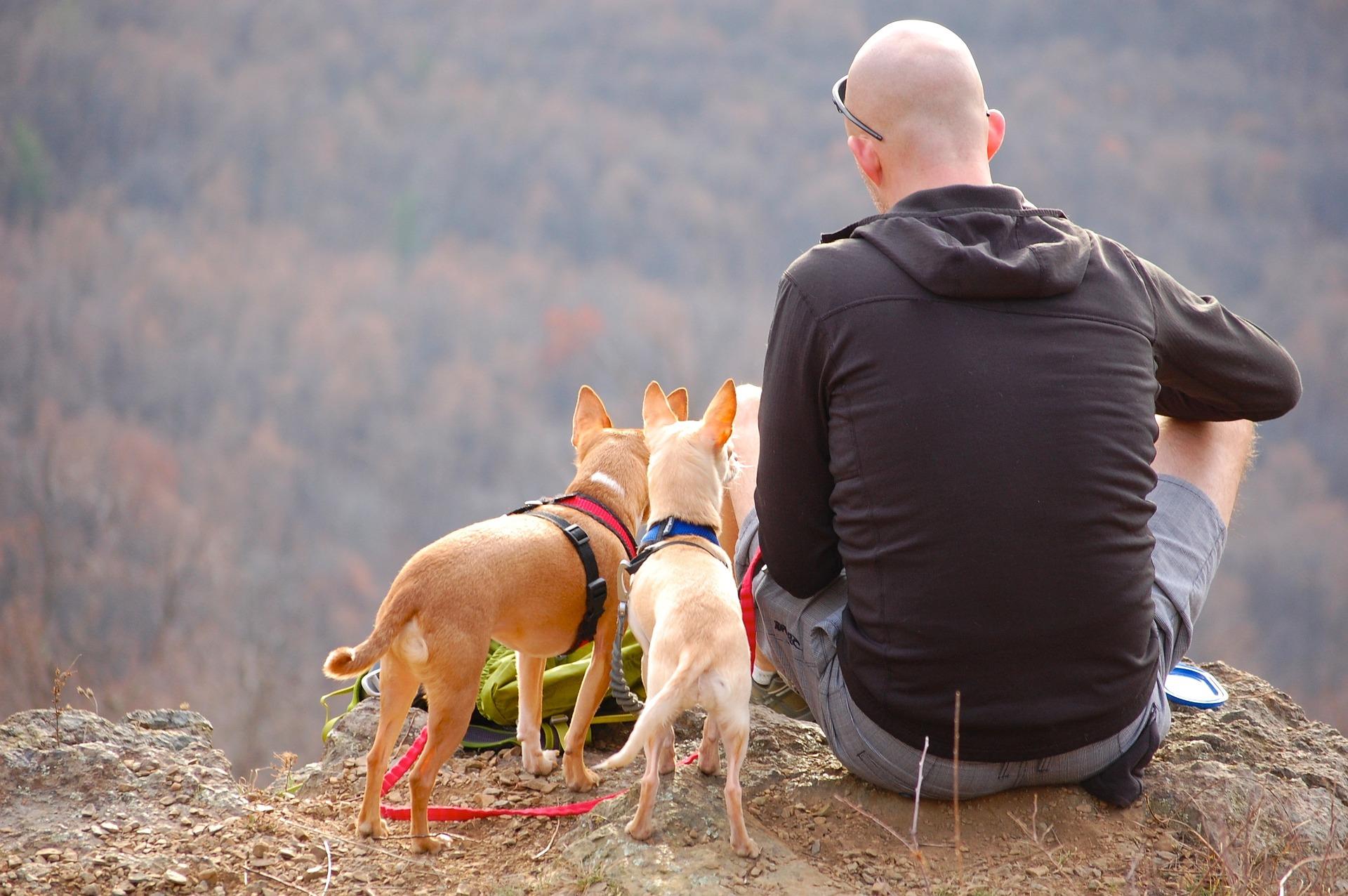 man with dogs